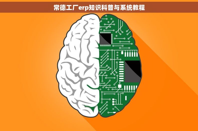 常德工厂erp知识科普与系统教程