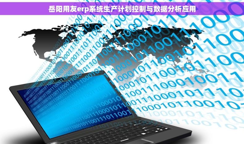 岳阳用友erp系统生产计划控制与数据分析应用