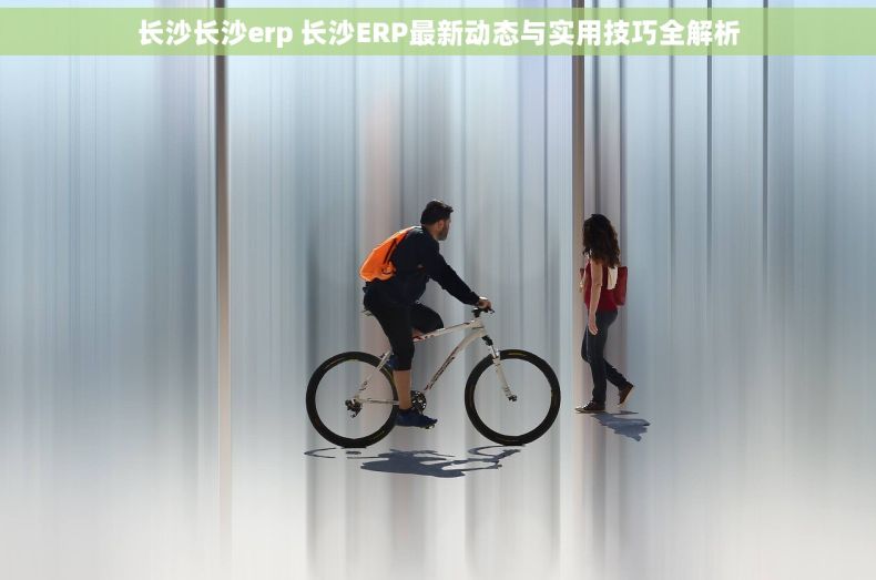 长沙长沙erp 长沙ERP最新动态与实用技巧全解析
