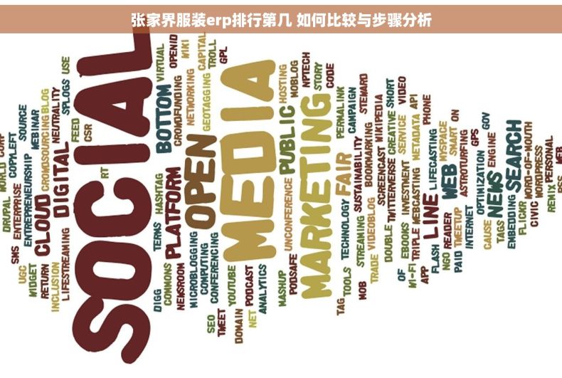 张家界服装erp排行第几 如何比较与步骤分析
