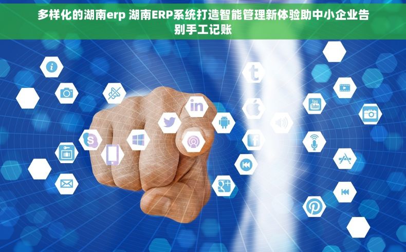 多样化的湖南erp 湖南ERP系统打造智能管理新体验助中小企业告别手工记账
