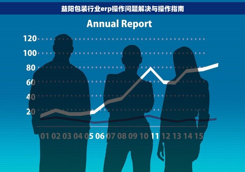 益阳包装行业erp操作问题解决与操作指南