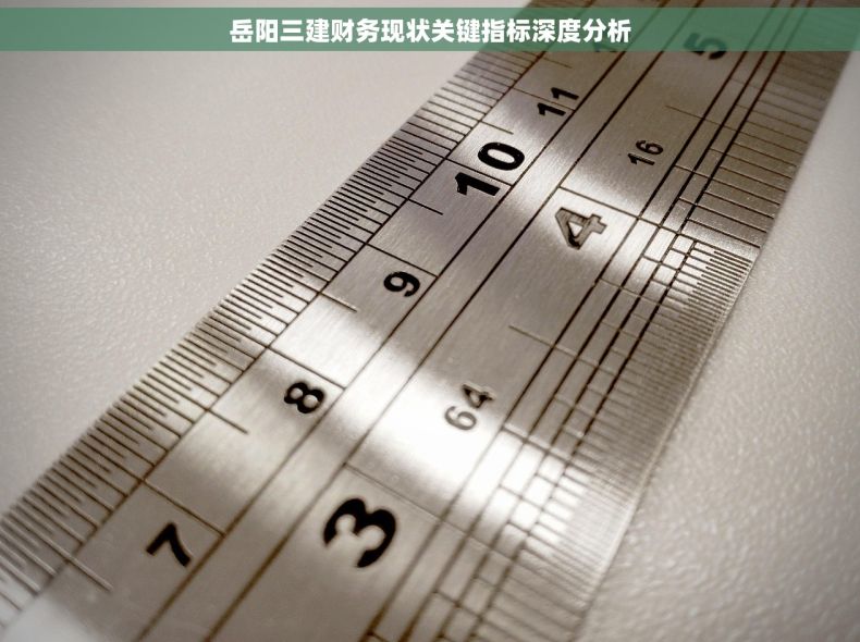 岳阳三建财务现状关键指标深度分析