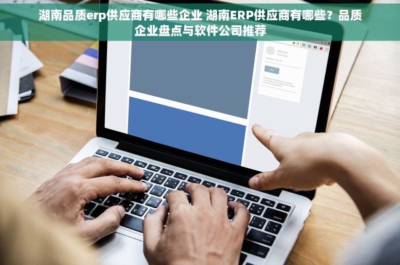 湖南品质erp供应商有哪些企业 湖南ERP供应商有哪些？品质企业盘点与软件公司推荐