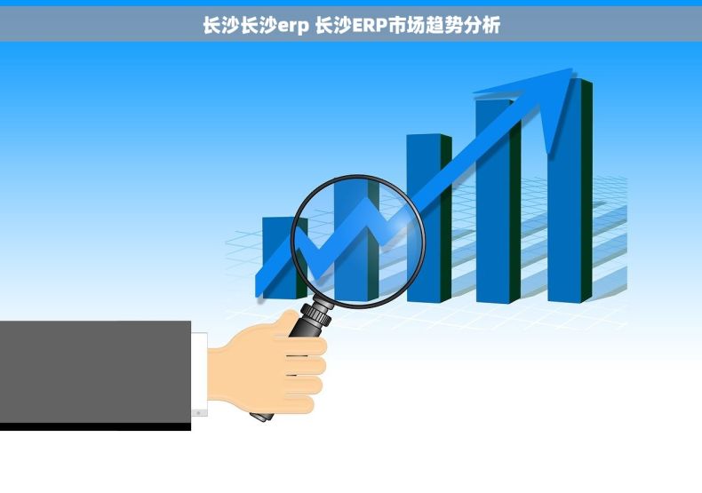 长沙长沙erp 长沙ERP市场趋势分析