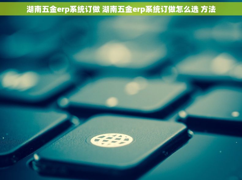 湖南五金erp系统订做 湖南五金erp系统订做怎么选 方法
