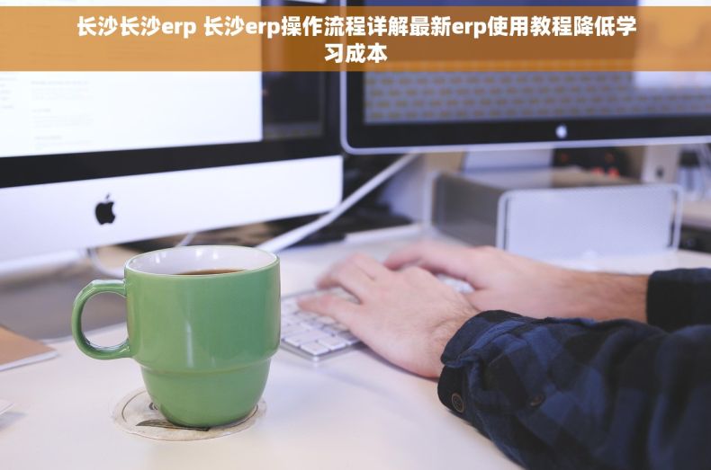 长沙长沙erp 长沙erp操作流程详解最新erp使用教程降低学习成本