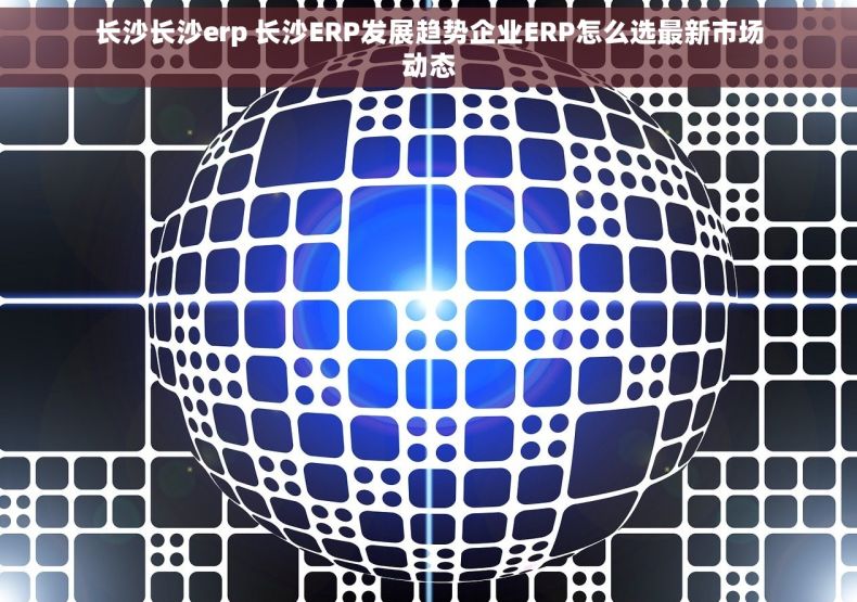 长沙长沙erp 长沙ERP发展趋势企业ERP怎么选最新市场动态