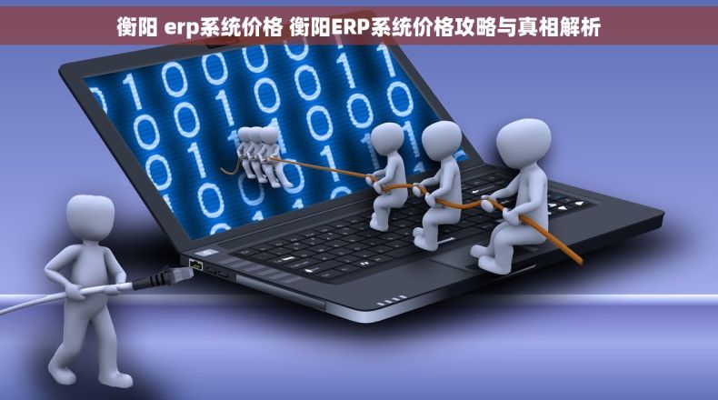 衡阳 erp系统价格 衡阳ERP系统价格攻略与真相解析
