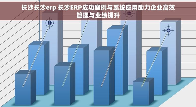 长沙长沙erp 长沙ERP成功案例与系统应用助力企业高效管理与业绩提升