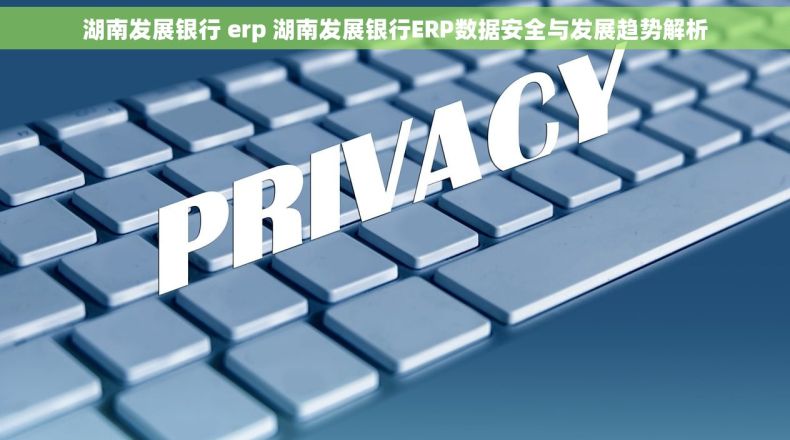 湖南发展银行 erp 湖南发展银行ERP数据安全与发展趋势解析