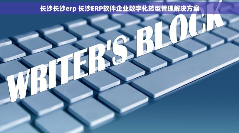 长沙长沙erp 长沙ERP软件企业数字化转型管理解决方案