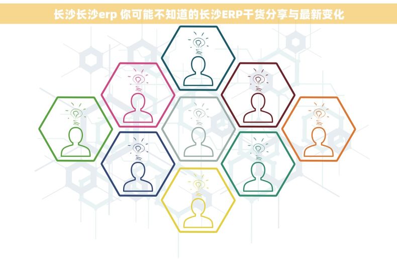 长沙长沙erp 你可能不知道的长沙ERP干货分享与最新变化