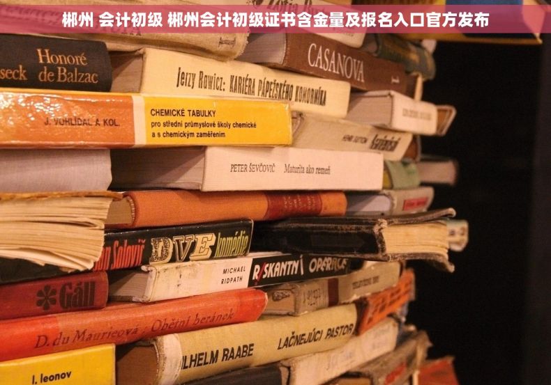 郴州 会计初级 郴州会计初级证书含金量及报名入口官方发布