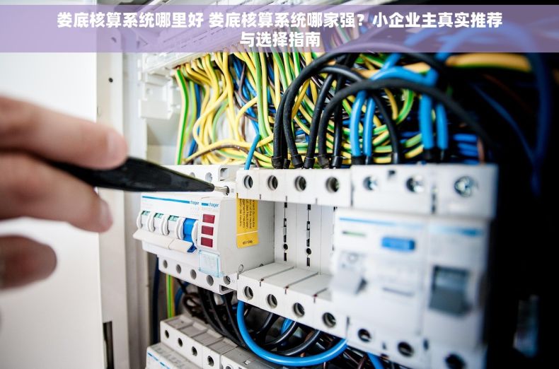 娄底核算系统哪里好 娄底核算系统哪家强？小企业主真实推荐与选择指南