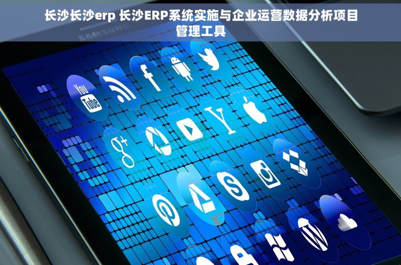 长沙长沙erp 长沙ERP系统实施与企业运营数据分析项目管理工具