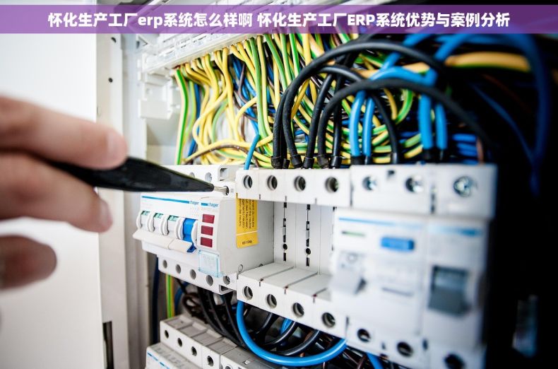 怀化生产工厂erp系统怎么样啊 怀化生产工厂ERP系统优势与案例分析