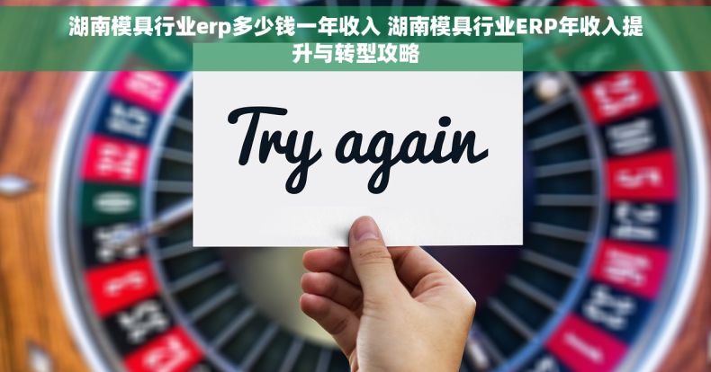 湖南模具行业erp多少钱一年收入 湖南模具行业ERP年收入提升与转型攻略