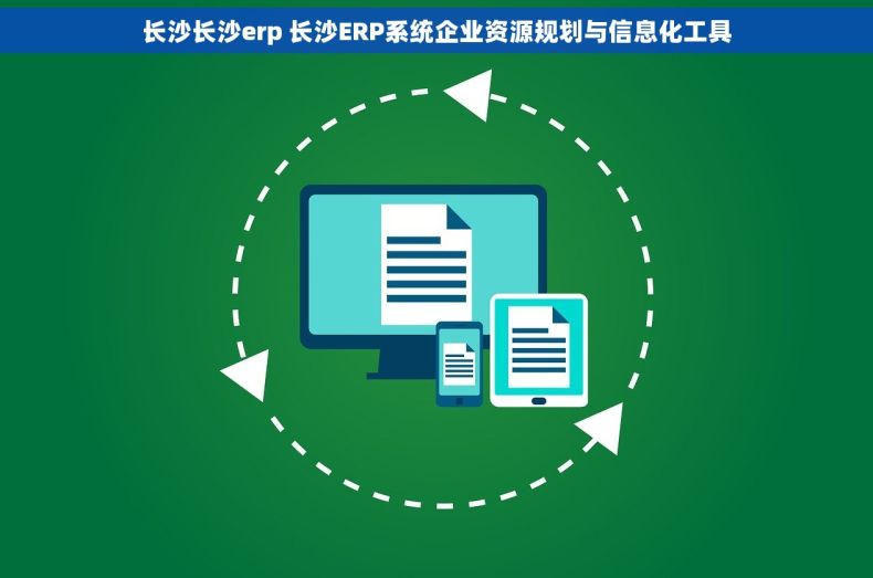 长沙长沙erp 长沙ERP系统企业资源规划与信息化工具