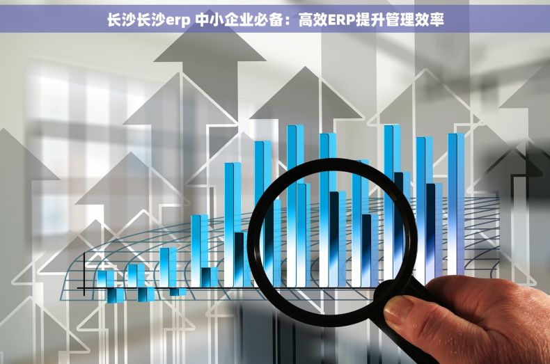 长沙长沙erp 中小企业必备：高效ERP提升管理效率