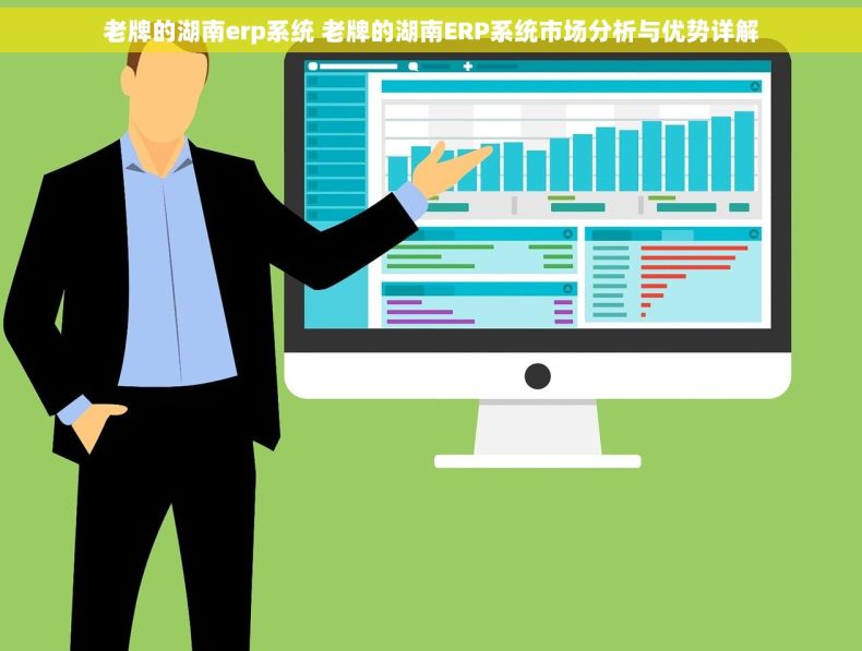 老牌的湖南erp系统 老牌的湖南ERP系统市场分析与优势详解