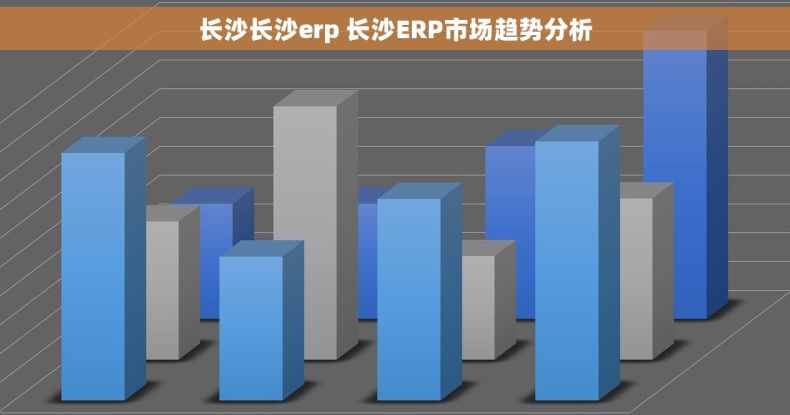 长沙长沙erp 长沙ERP市场趋势分析