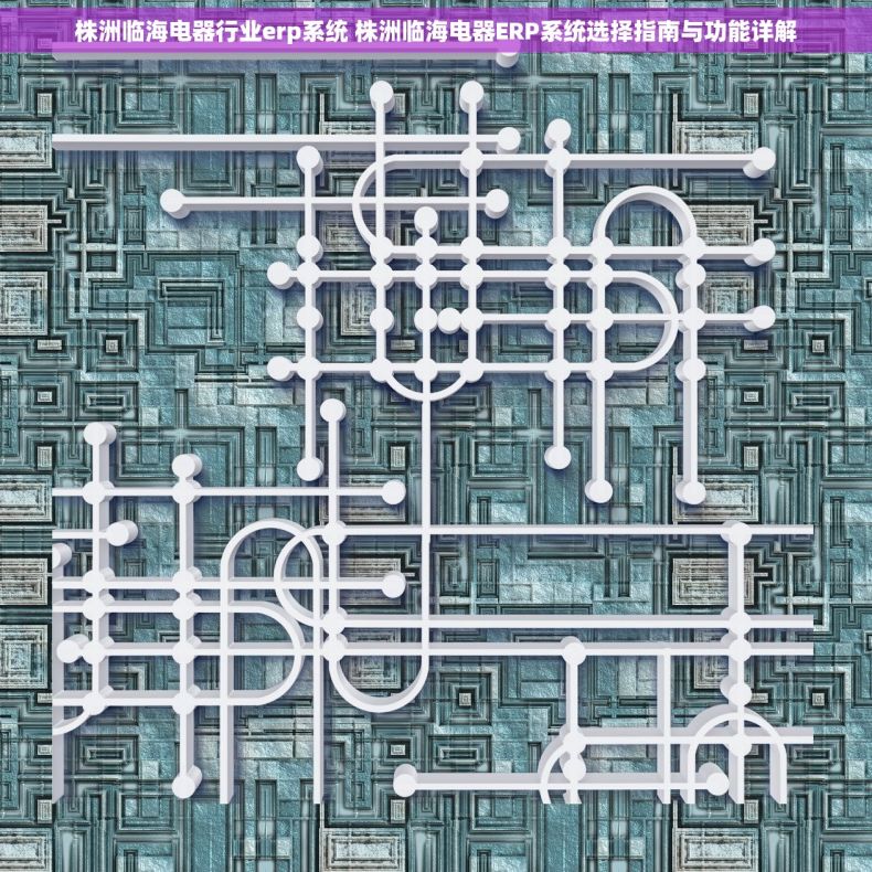 株洲临海电器行业erp系统 株洲临海电器ERP系统选择指南与功能详解