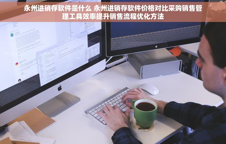 永州进销存软件是什么 永州进销存软件价格对比采购销售管理工具效率提升销售流程优化方法