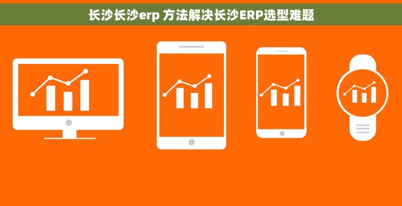 长沙长沙erp 方法解决长沙ERP选型难题