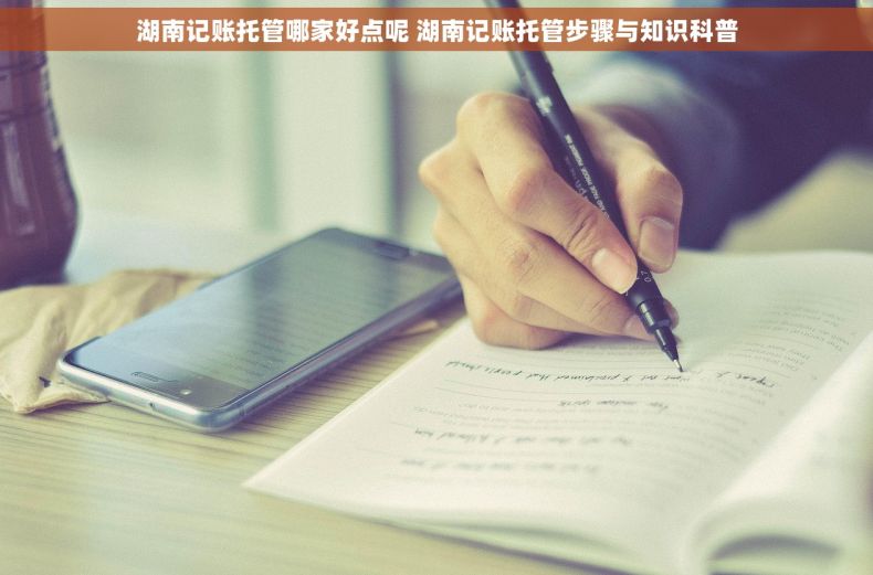 湖南记账托管哪家好点呢 湖南记账托管步骤与知识科普