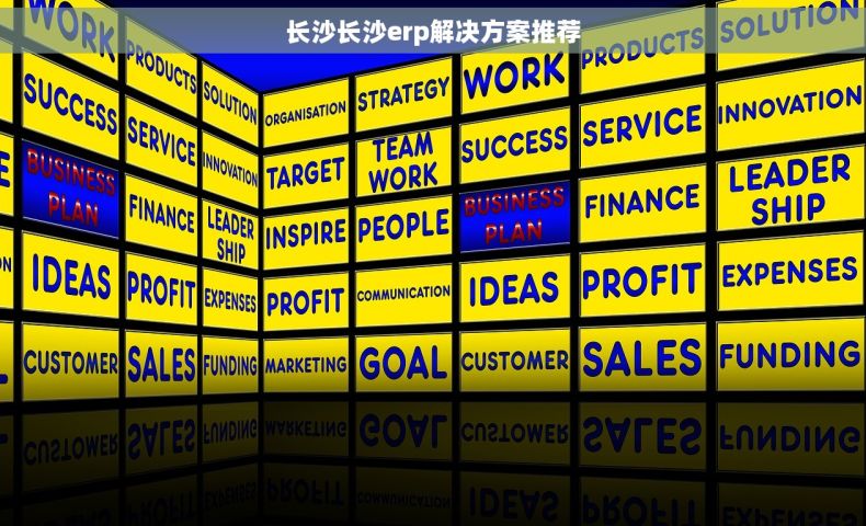 长沙长沙erp解决方案推荐