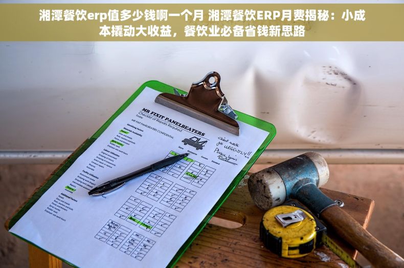 湘潭餐饮erp值多少钱啊一个月 湘潭餐饮ERP月费揭秘：小成本撬动大收益，餐饮业必备省钱新思路