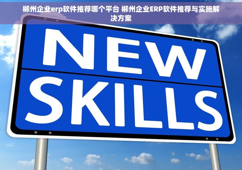 郴州企业erp软件推荐哪个平台 郴州企业ERP软件推荐与实施解决方案