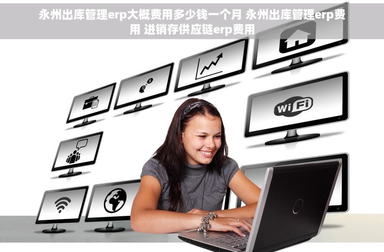 永州出库管理erp大概费用多少钱一个月 永州出库管理erp费用 进销存供应链erp费用