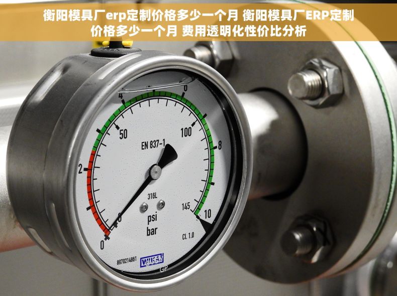 衡阳模具厂erp定制价格多少一个月 衡阳模具厂ERP定制价格多少一个月 费用透明化性价比分析