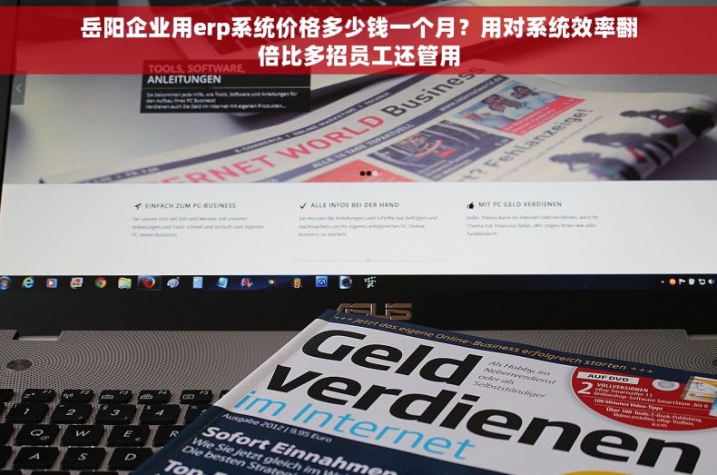 岳阳企业用erp系统价格多少钱一个月？用对系统效率翻倍比多招员工还管用