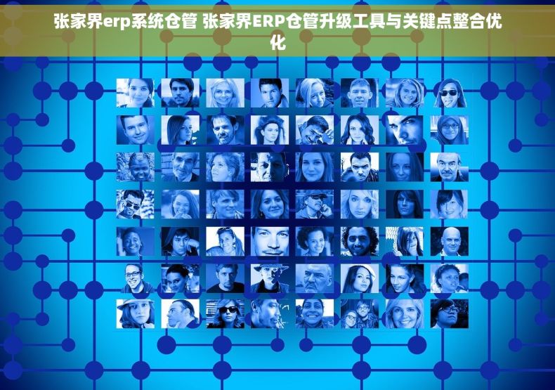 张家界erp系统仓管 张家界ERP仓管升级工具与关键点整合优化