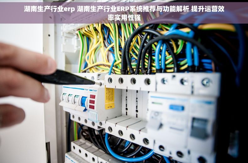 湖南生产行业erp 湖南生产行业ERP系统推荐与功能解析 提升运营效率实用性强