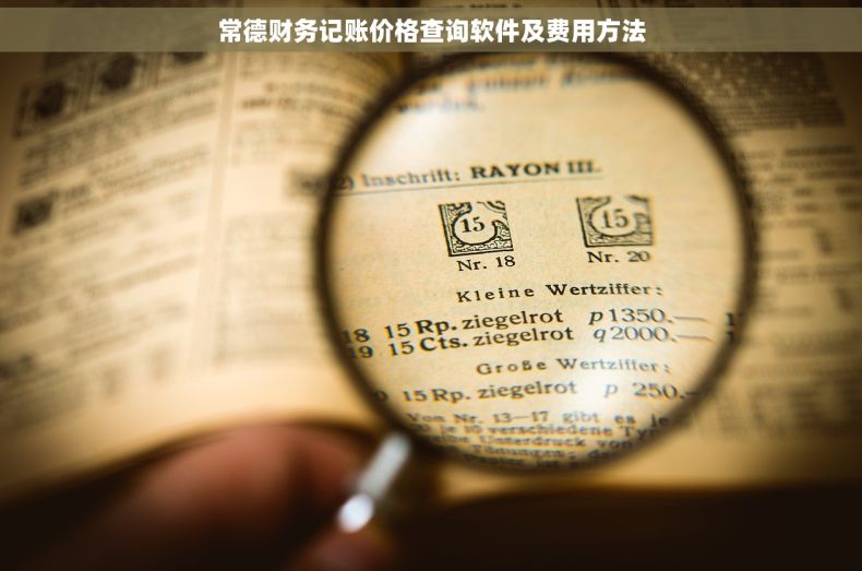 常德财务记账价格查询软件及费用方法