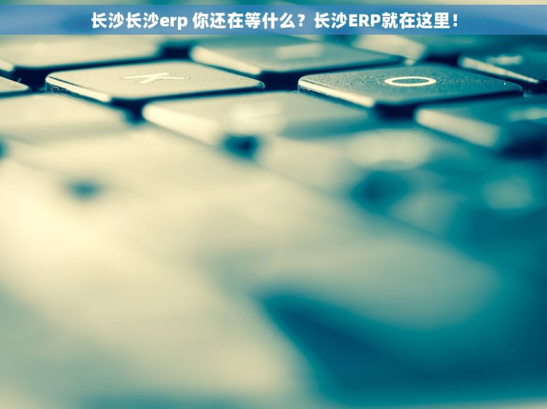 长沙长沙erp 你还在等什么？长沙ERP就在这里！