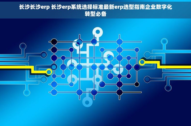 长沙长沙erp 长沙erp系统选择标准最新erp选型指南企业数字化转型必备