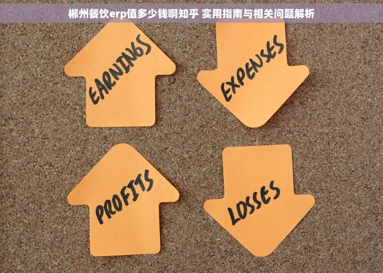 郴州餐饮erp值多少钱啊知乎 实用指南与相关问题解析