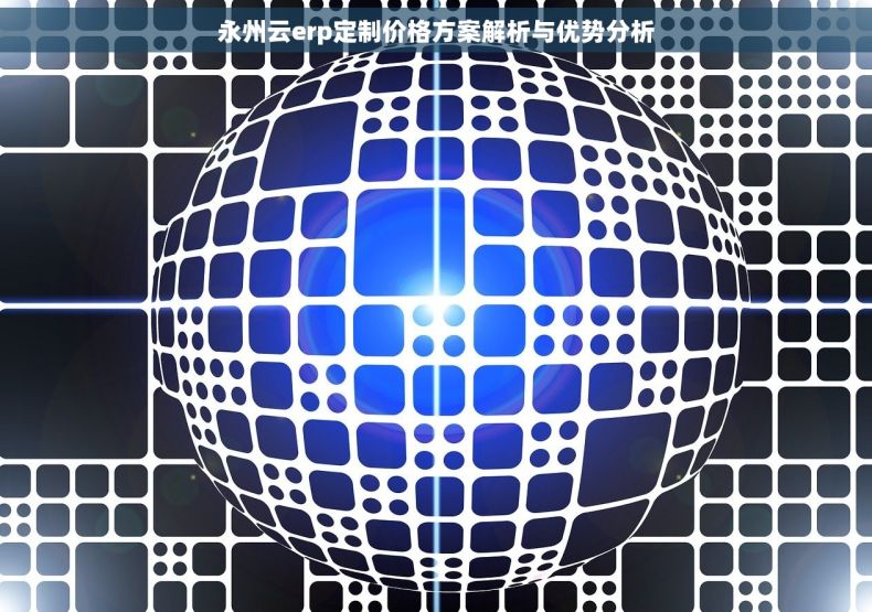 永州云erp定制价格方案解析与优势分析