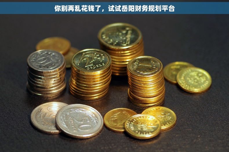 你别再乱花钱了，试试岳阳财务规划平台