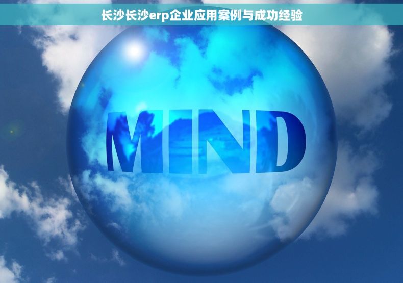 长沙长沙erp企业应用案例与成功经验