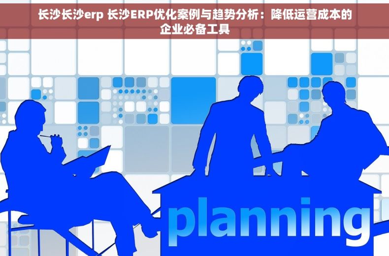 长沙长沙erp 长沙ERP优化案例与趋势分析：降低运营成本的企业必备工具
