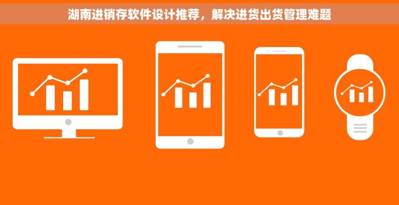 湖南进销存软件设计推荐，解决进货出货管理难题