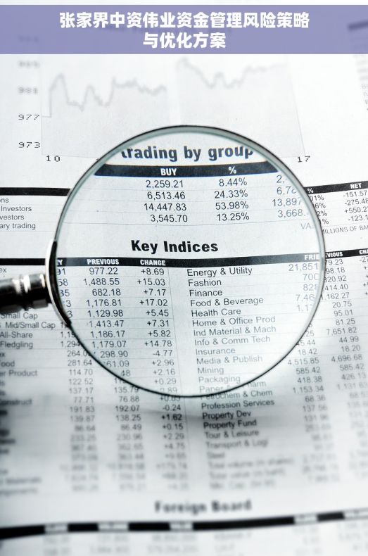 张家界中资伟业资金管理风险策略与优化方案