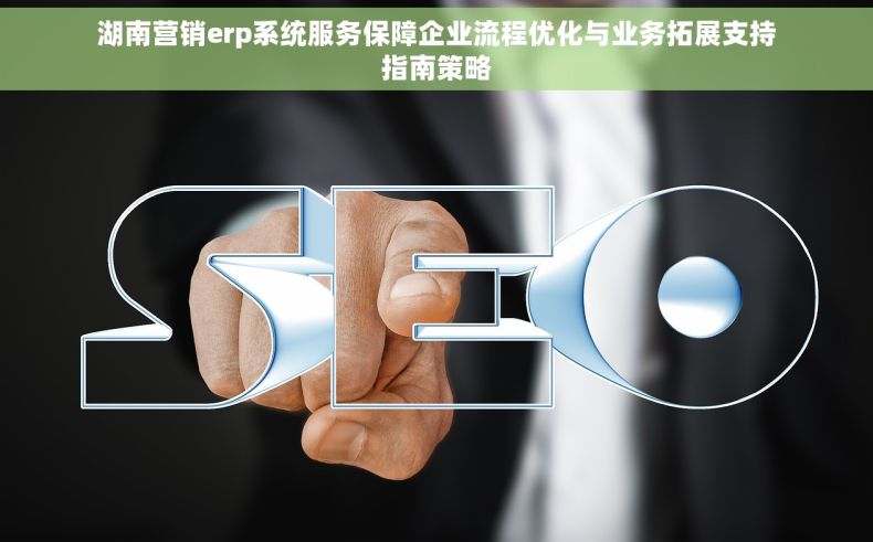 湖南营销erp系统服务保障企业流程优化与业务拓展支持指南策略