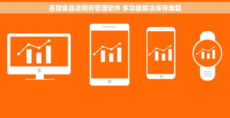岳阳食品进销存管理软件 多功能解决库存难题